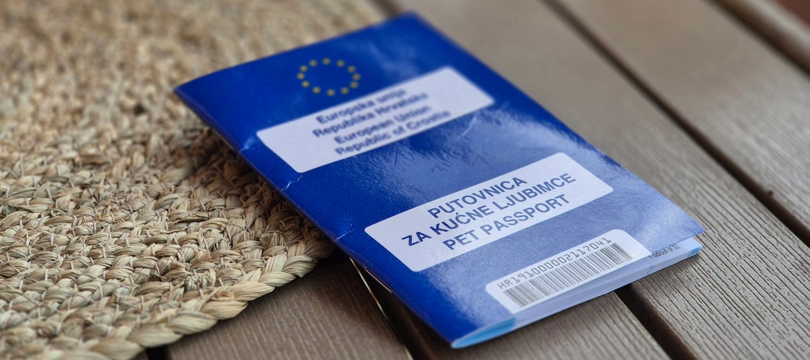 20251007_160458(1)(1)